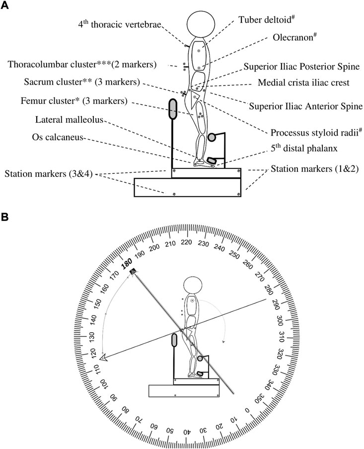 Skin Displacement as fascia tissue manipulation at the lower back affects instantaneously the flexion-and extension spine, pelvis, and hip range of motion